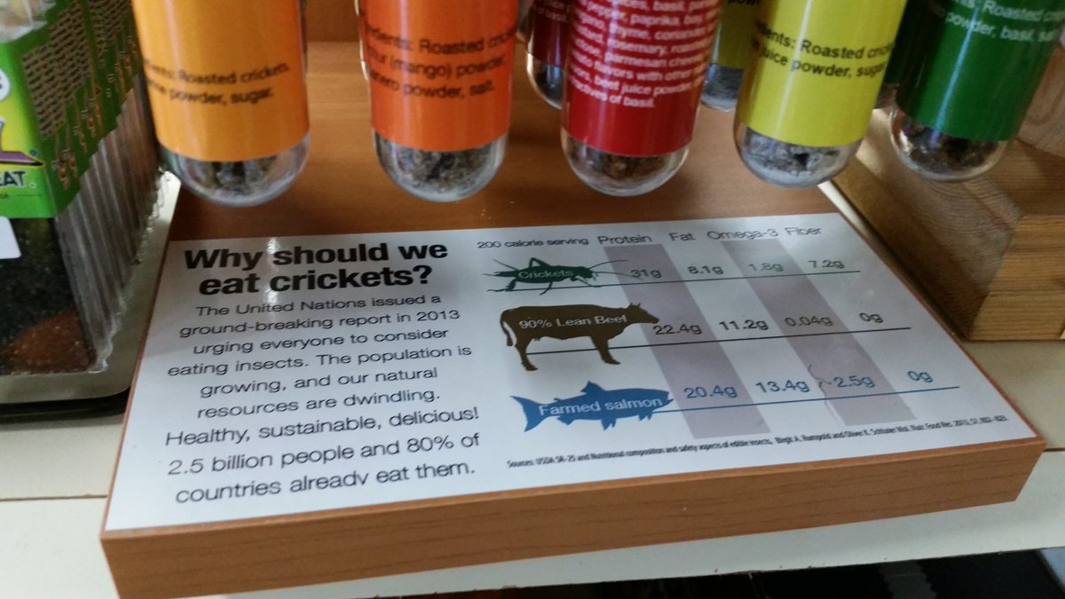 UteSchmid's tweet photo. Visiting #TheCandyShoppe on HIghway 11 just north of Orillia, Ontario. This selection #insect #insectcandy #insectsnacks. A sustainable source of protein for our future! #Snowflakelady #Residentialtourist #SimcoeCounty https://t.co/V4SABs1epi