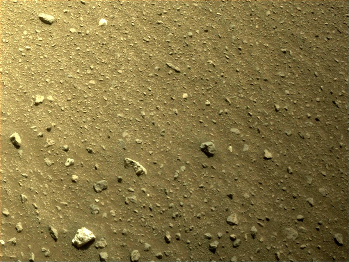 MarsMissionImgs's tweet photo. #PerseveranceRover image taken on #Sol409 at 12:23:35.254 PM with #Navcam #Mars #NASA #Space https://t.co/gRyzIYhCDf