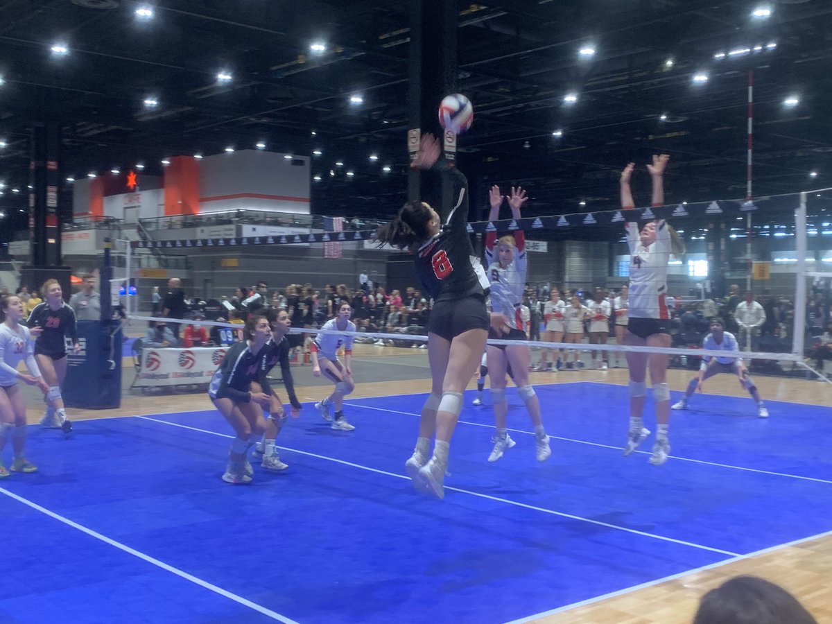 Chris Fitzgerald tweet media