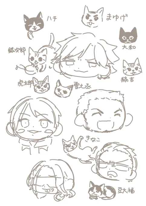 猫の名前が覚えられない 