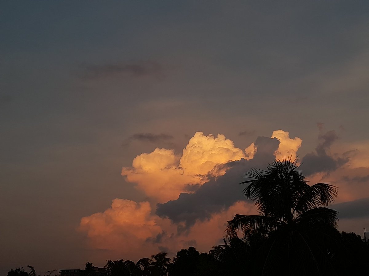 poemstotherain's tweet photo. haven't seen the evening clouds in a long time. no thought just fluffy clouds in my head now https://t.co/30bN2yB3VV