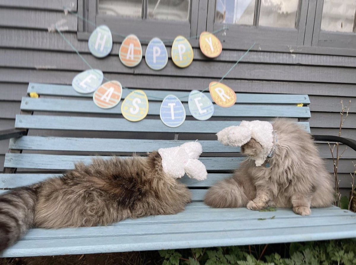 The Good Grief Trust tweet media