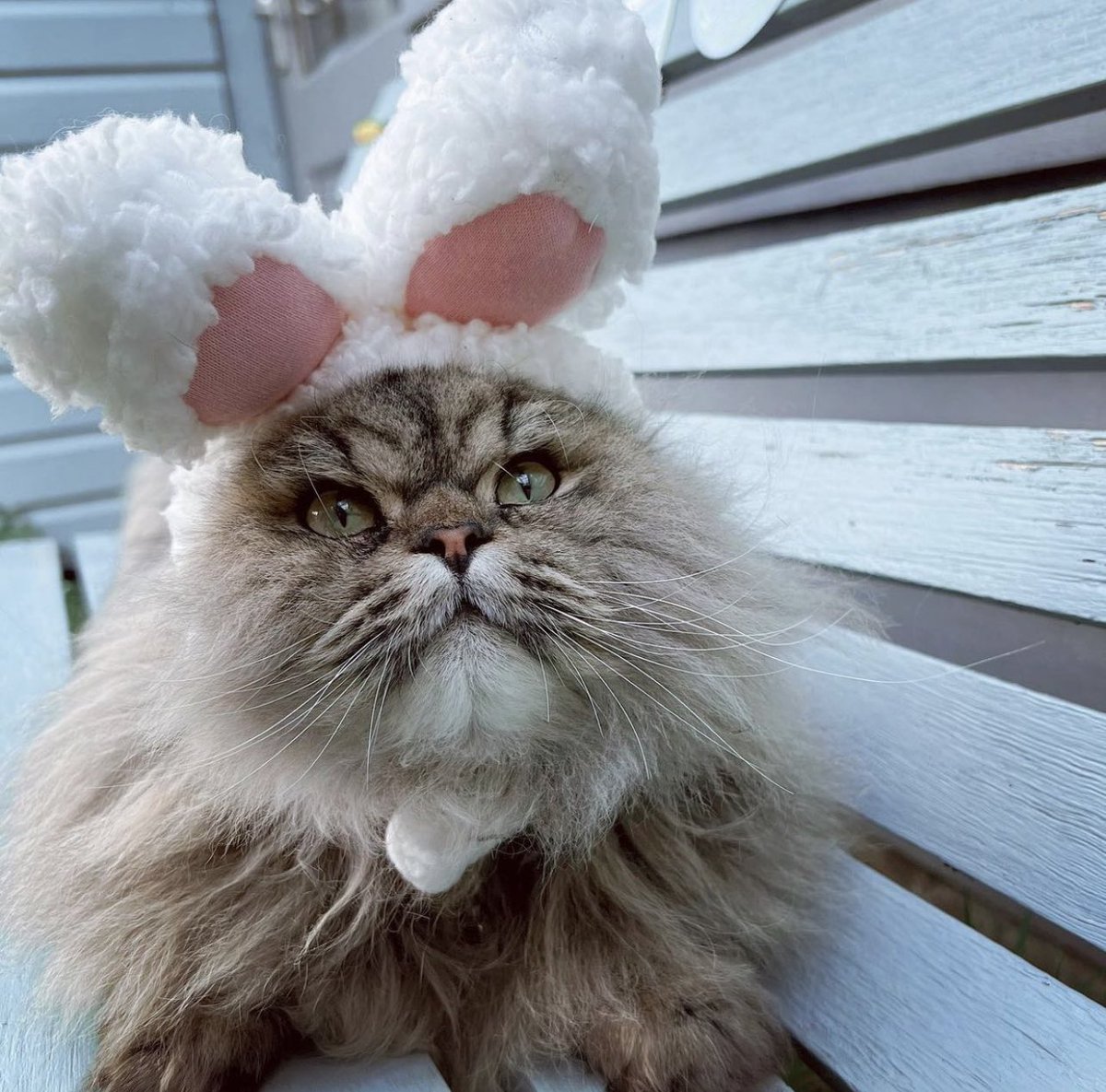 The Good Grief Trust tweet media