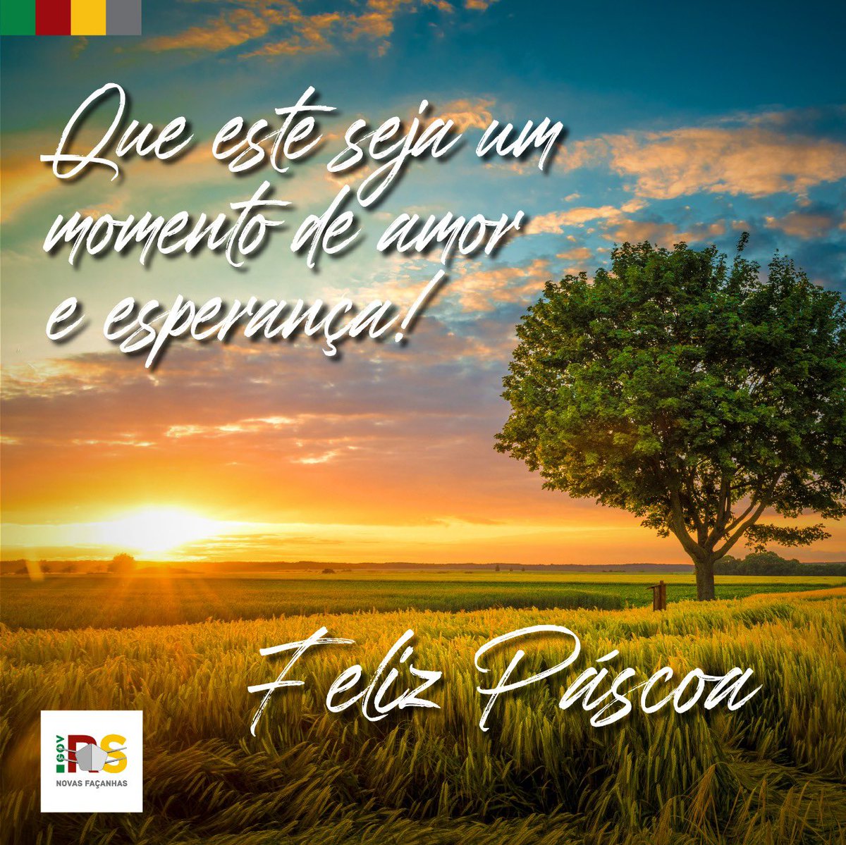 💛 Desejamos um domingo especial para todos! #felizpascoa