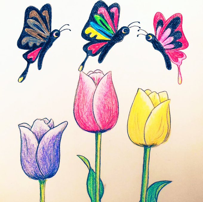 蝶々のtwitterイラスト作品 蝶々のtwitterイラスト作品