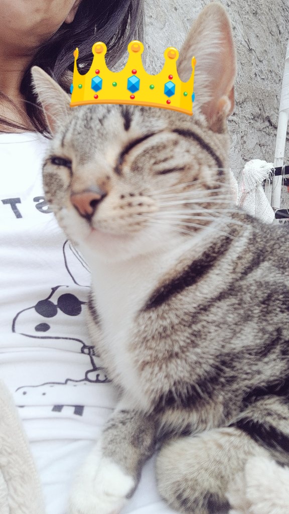 AnaLizX1's tweet photo. 🧉🍬🥰🥰MI ĘLA https://t.co/Tn9INNRFZP