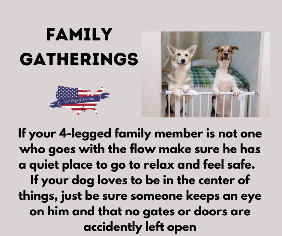 LostDogsIL's tweet photo. Families will be gathering together today.  Please keep your pets safe! https://t.co/fazDi0IziD
