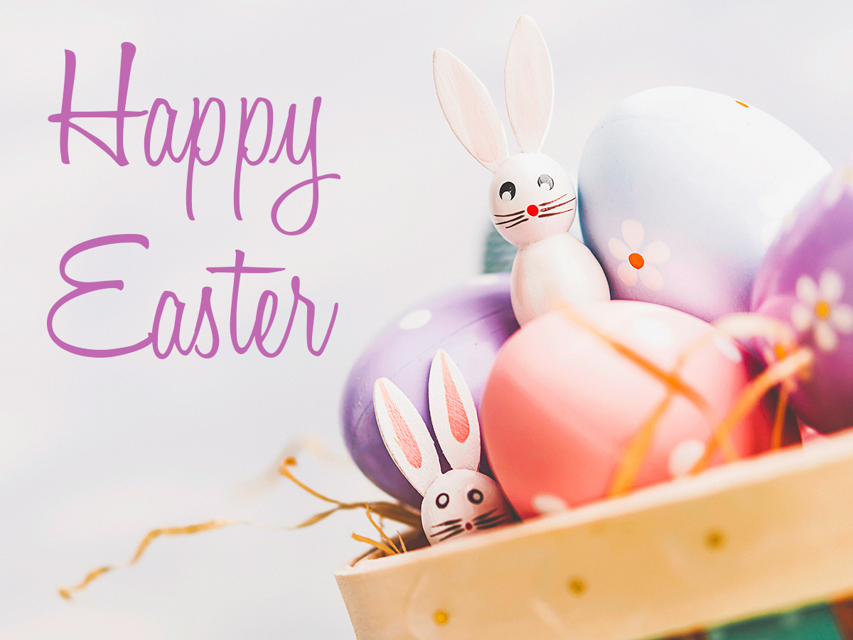 doveldog's tweet photo. Hoping your day is colorful, bright, and cheerful. #HappyEaster #celebrate https://t.co/L34KtCCZD6