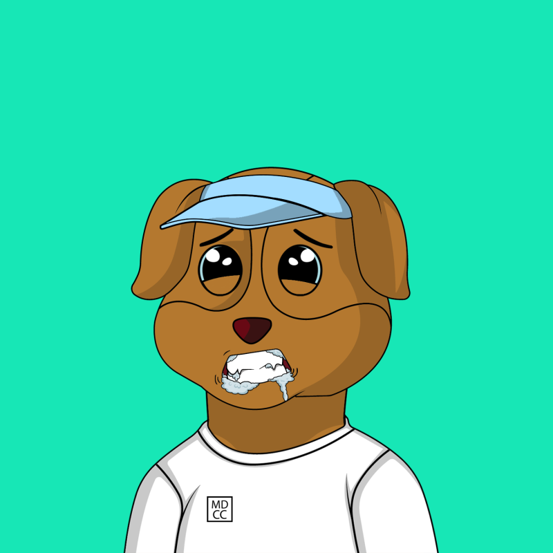 SoloCryptoOnly tweet media