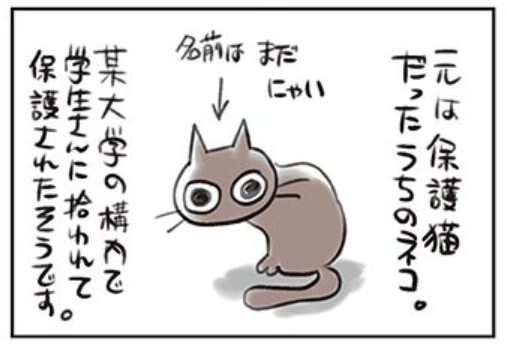 『コロッケ!』や『学級王ヤマザキ』でおなじみの樫本学ヴ先生 @vuvuvumanavuが贈る癒し系ペットまんが、#うちのネコは飼い主に優しい。が #週刊コロコロ にて毎週火曜日に配信中! 今回も心にじーんとくる4コマまんがが続出です。