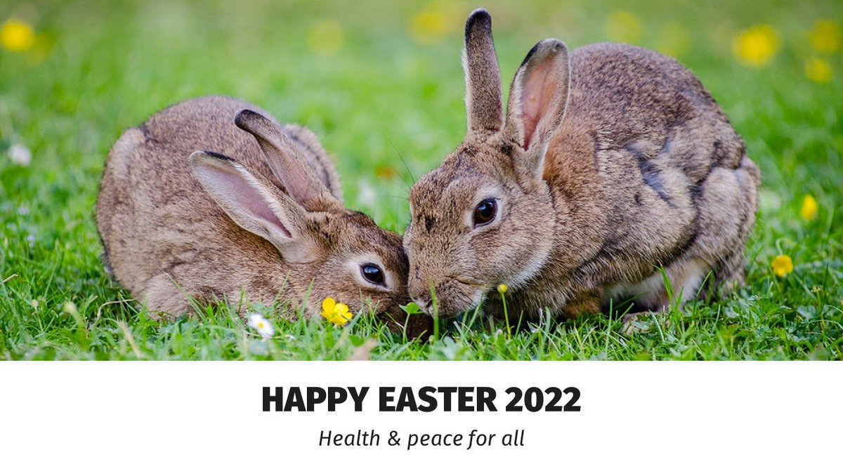 Happy Easter 🐣 from us at MAINTENANT

#EasterSunday #easter2022 #sustainableeaster #eastereggs #happyeaster