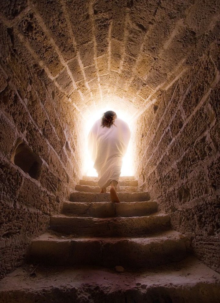 MarciaP65119187's tweet photo. #porqueelevive . Eu posso crer no amanhã. Jesus veio a esse mundo para nos mostrar que depois das trevas existe luz. E fazendo uma breve comparação com todo respeito...depois de um governo tenebroso como esse a esperança está em LULA de novo. Feliz páscoa !! https://t.co/Woxwb2PxIH