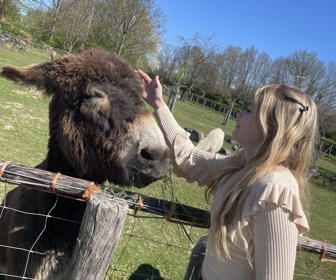 iamsannay's tweet photo. I met this really cute goat today https://t.co/ol691dfUnQ