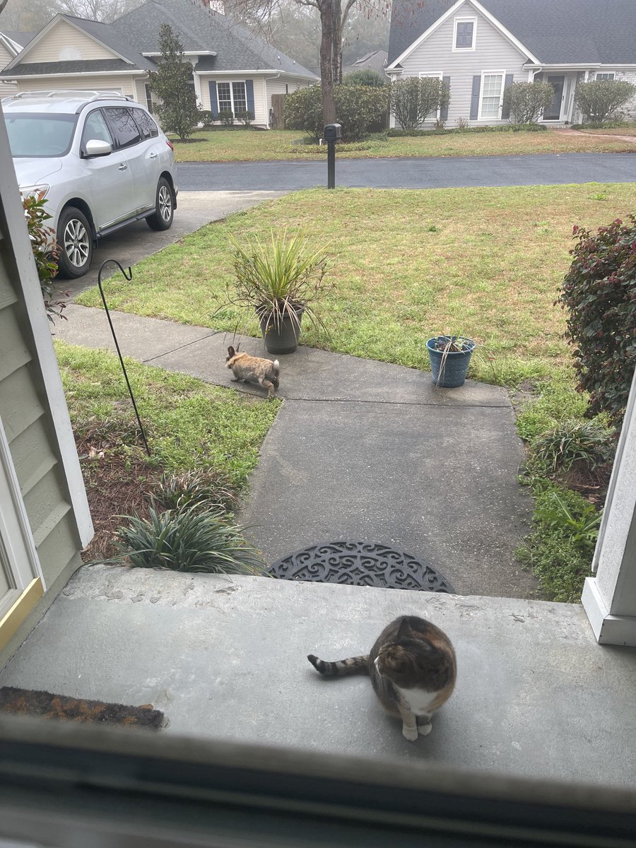 srthig's tweet image. Easter Bunny was still hanging out with Addeline this morning .