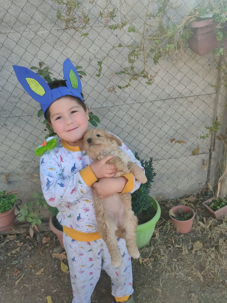 KarinNorese's tweet photo. Buscando huevitos con su mejor amiga #despiertaconchv https://t.co/13YrOTeoMk