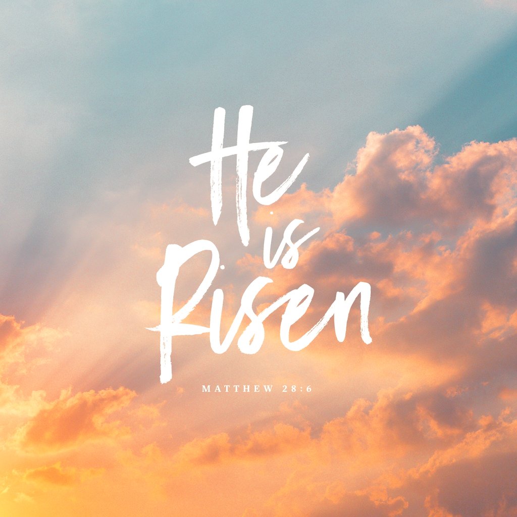 Spirit_Times's tweet photo. He is not here: for he is risen, as he said. Come, see the place where the Lord lay.
Matthew 28:6 KJV

https://t.co/u17fMr3eFg https://t.co/NXePy1eKyr