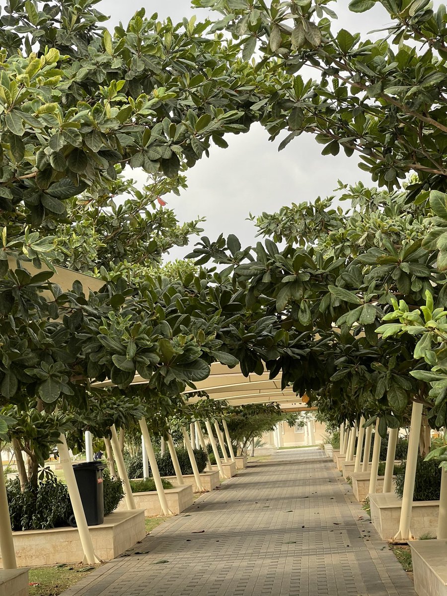 اللهم خَير الأمور، خَير الأشخاص، خَير الأيام🤍
#جامعة_الشرقية