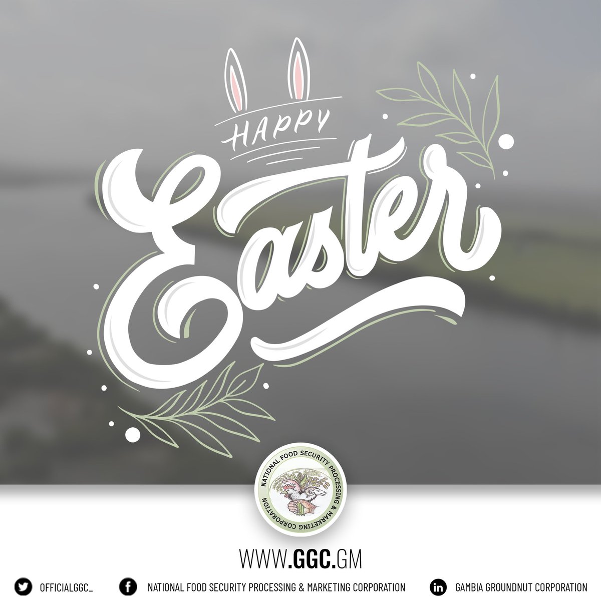 Gambia Groundnut Corporation tweet media