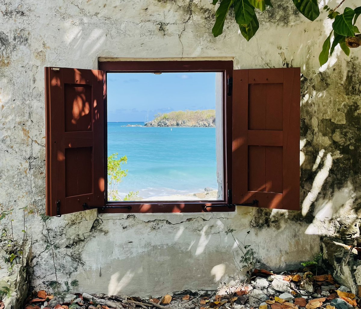 A window into my soul as our vacation in #StJohnUSVI comes to an end 🥲