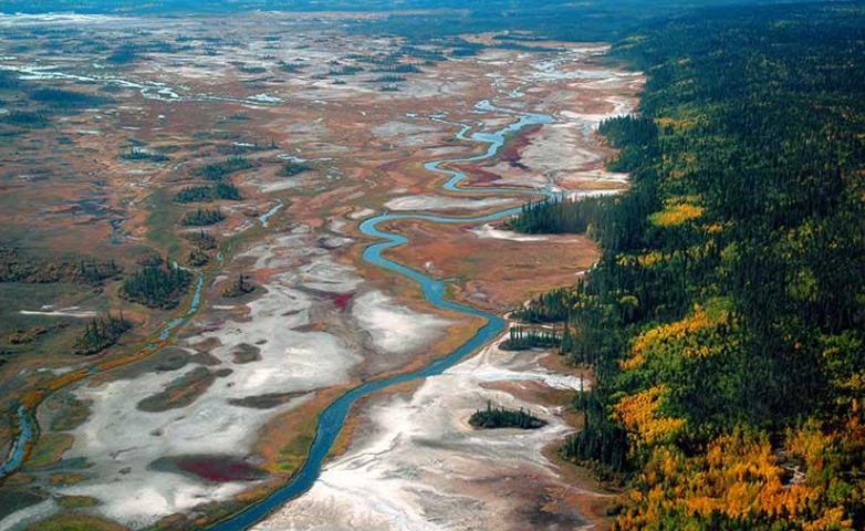 Parks Canada has told Melissa Daniels to stop collecting salt from her ancestral lands within Wood Buffalo National Park. She says: "My experience is one small example of the injustice that has been perpetrated against our people for generations." More at pbicanada.org/2022/04/17/mel…
