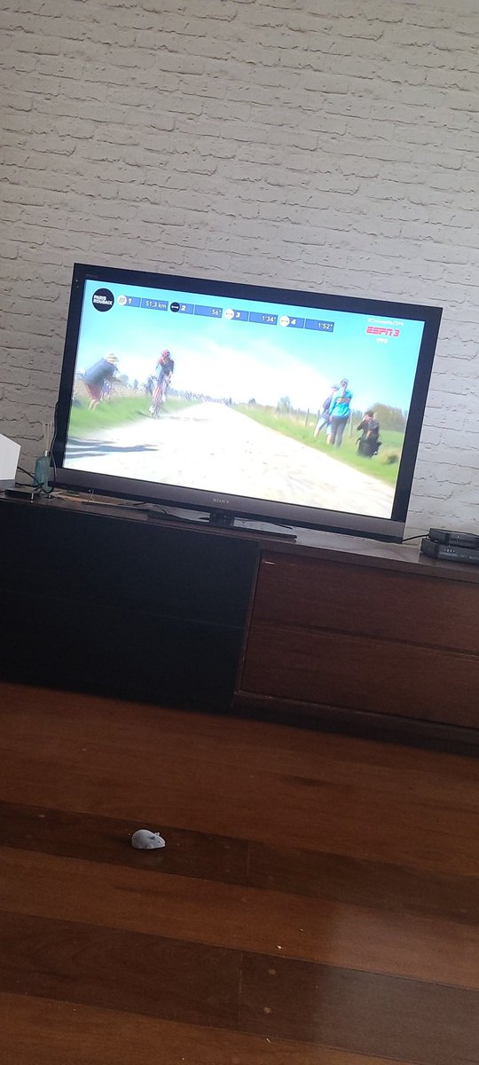 levendramini's tweet photo. Domingão de Páscoa, após o pedal com minha assessoria Ludão Bike Team ontem na #rotadasfrutas. Hoje junto com @ESPNBrasil #Ciclismonaespn https://t.co/eZYK00wtLp