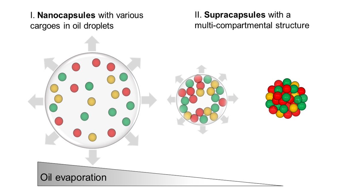 soft_isa's tweet photo. Strength in numbers! We realize the assembly of nanocapsules into multi-compartment supracapsules that display unique programmable release dynamics. Curious? Check our recent work @MaterHoriz in collab with @deMelloGroup https://t.co/0XroRxhcVg 
Congratulations @Minghan_Hu &amp; co! https://t.co/vVKGuNpztO