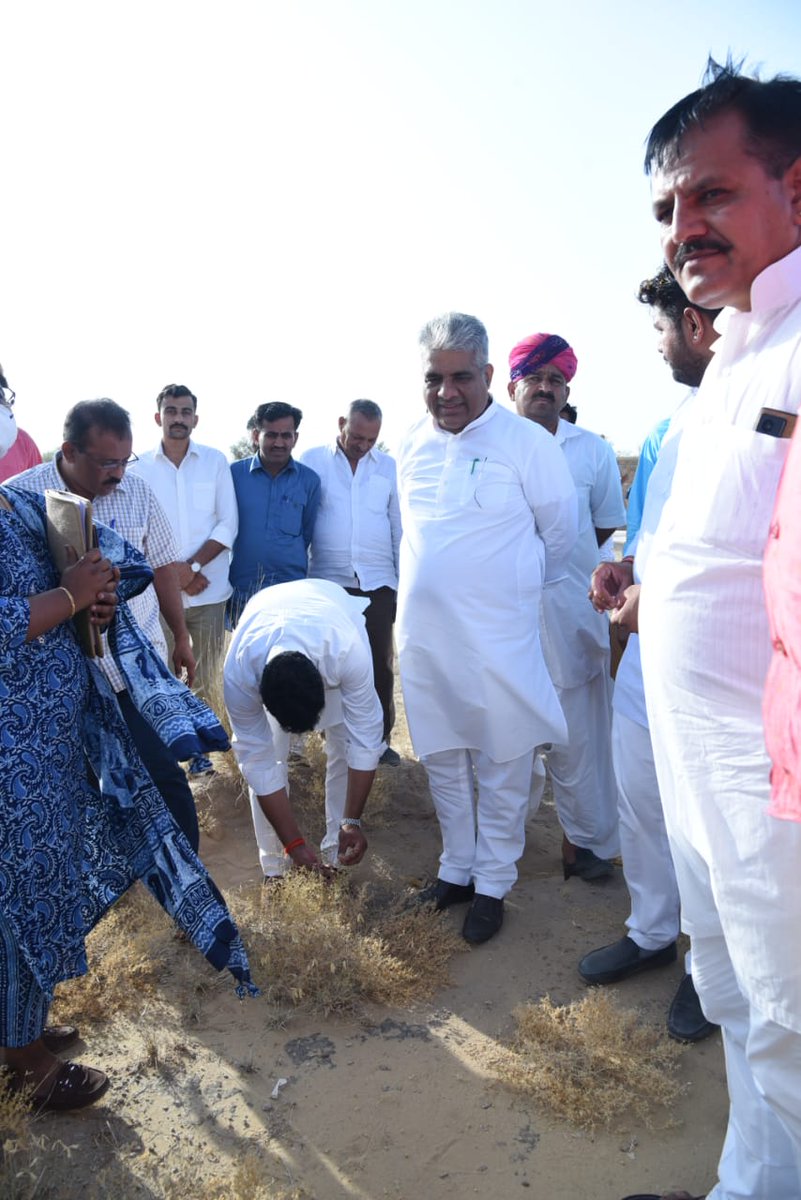 byadavbjp's tweet photo. Inspected the pastureland in Chandan village of Jaisalmer developed under MGNREGA where ecologically sensitive grass sewan is grown over 200 bighas. https://t.co/JSqQOvhBaZ