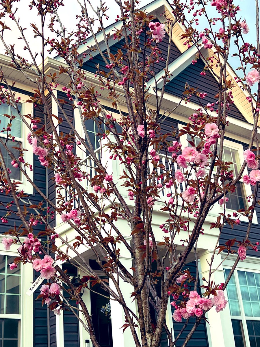 Nag-ingay lang.🤭

Basta sa bahay namen, PINK all the way!💕🌸🌸🌸

#LetLeniKikoLead2022 
#IpanaloNa10ParaSaLahat