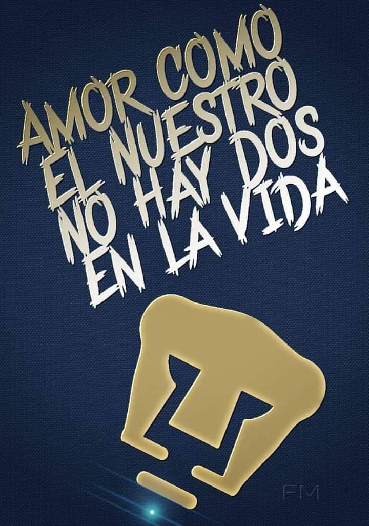 pepe_pumas's tweet photo. Vengaaaa @PumasMX Goyaaaaaaa !!!! #PumasRayados #ComoNoTeVoyAQuerer #SoyDePumas #Rompanla #Pumas https://t.co/KRUwXmE8Mb