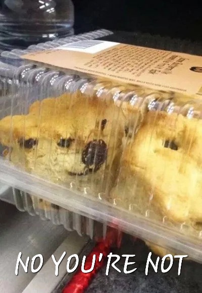 After 2 months away from Twitter to fight my Doge addiction.

Me: "I'm cured!"

My groceries: