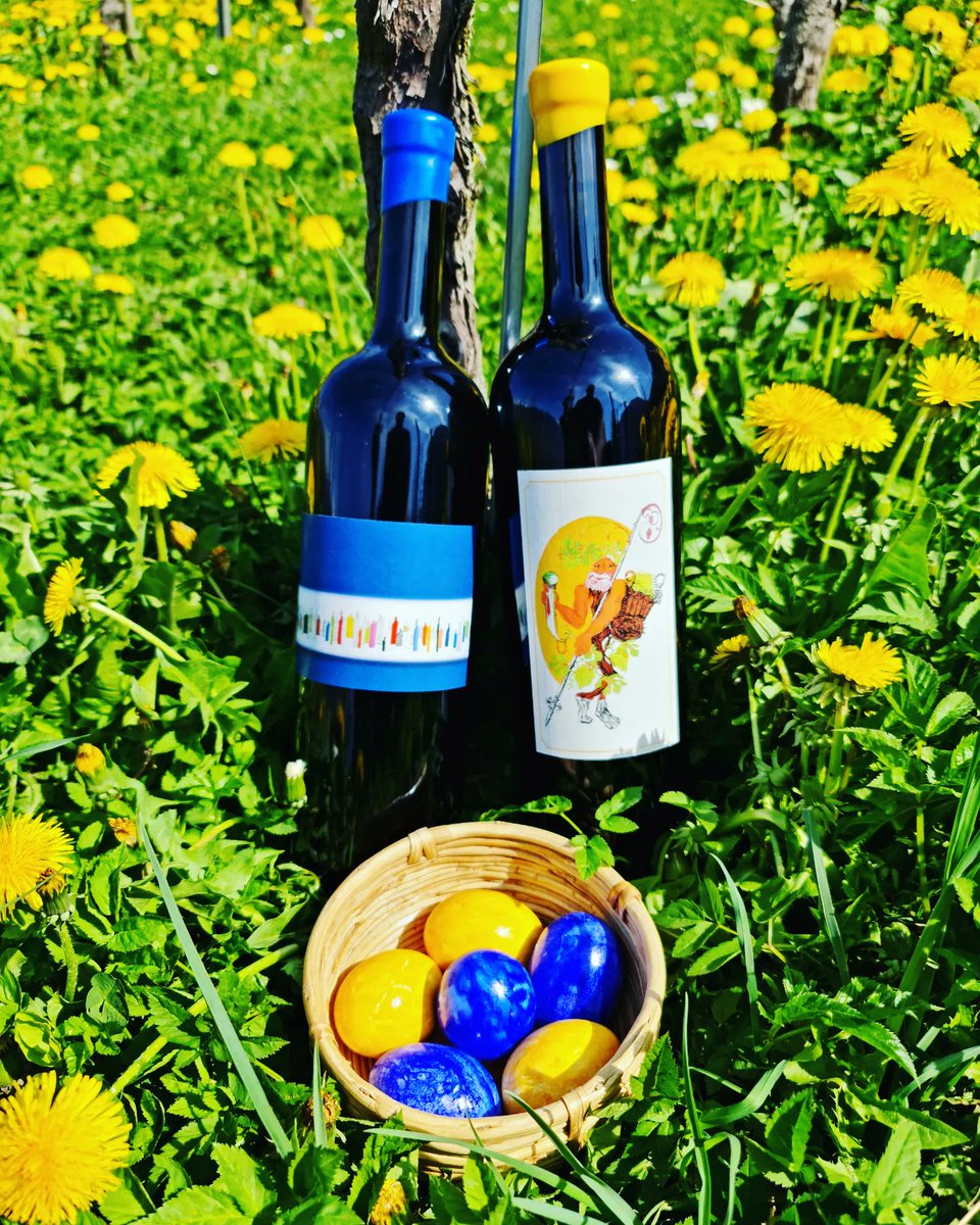 Louis Liesch tweet media