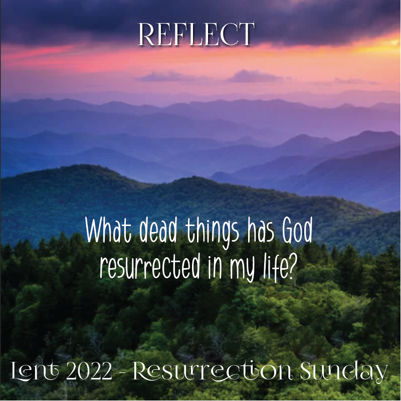 Carmel Baptist (@carmelbaptist) on Twitter photo 