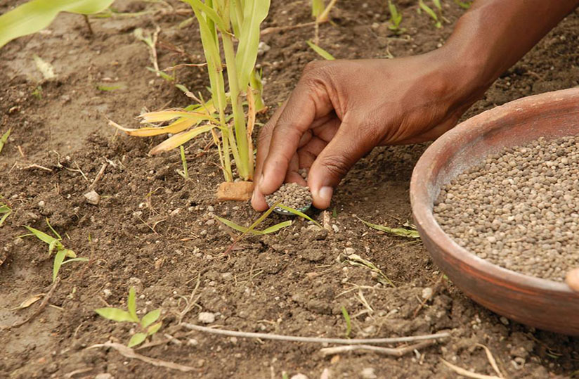 AGRIDIGITALE tweet media