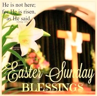 Omega Baptist Church tweet media