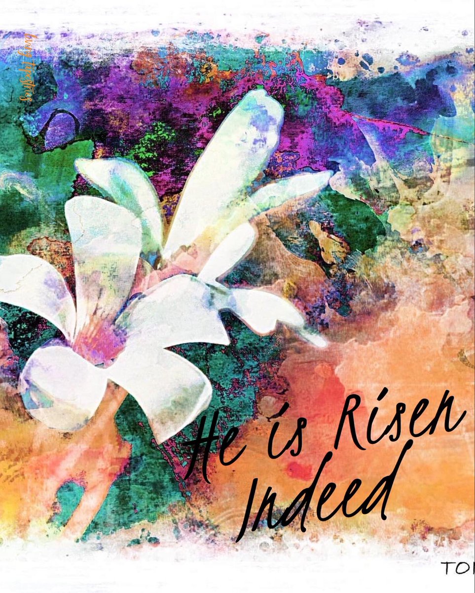 LivingTapestries (@ltapestries) on Twitter photo 