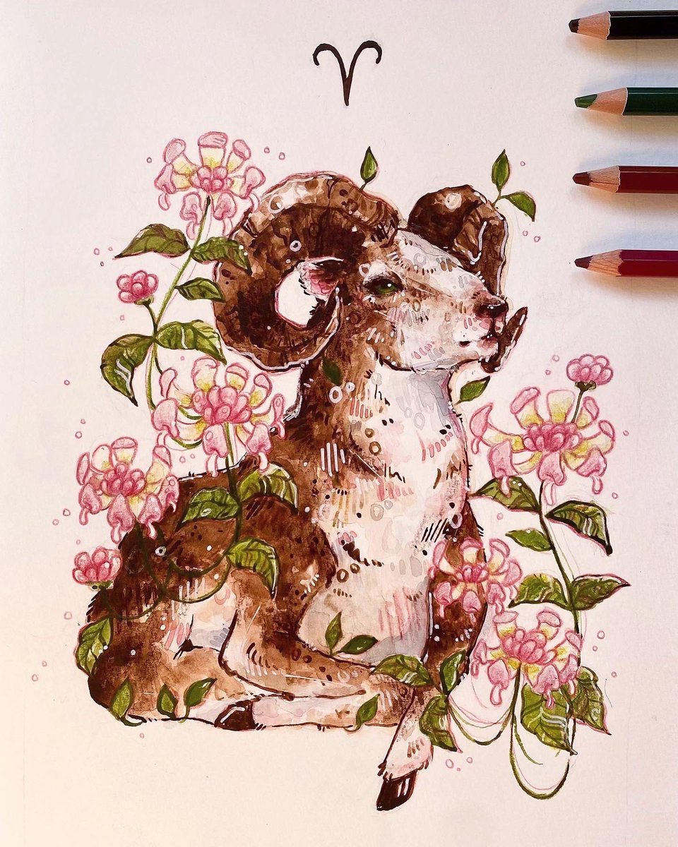 abiikat's tweet photo. Aries and honeysuckle ♈️✨ #art #aries https://t.co/WrQpx7J7Tw