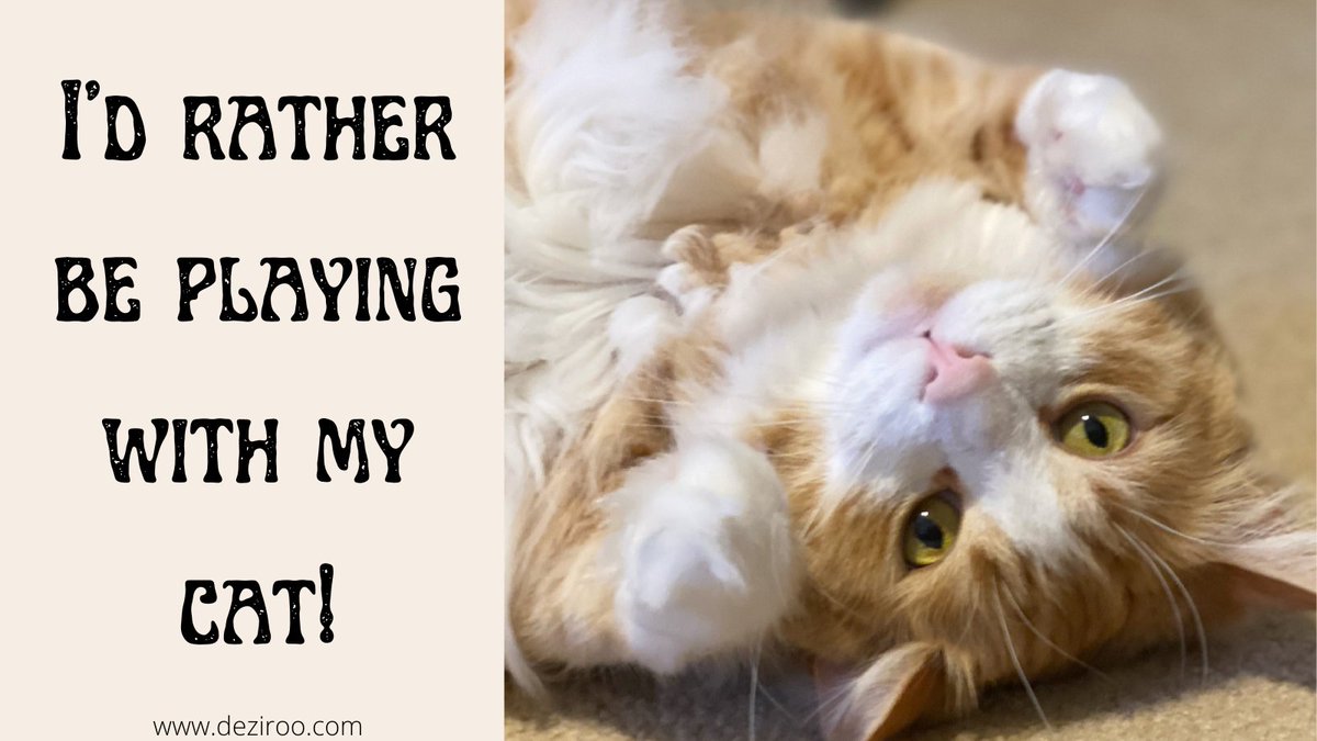 Yes, we would rather be playing with our cat. How about you?