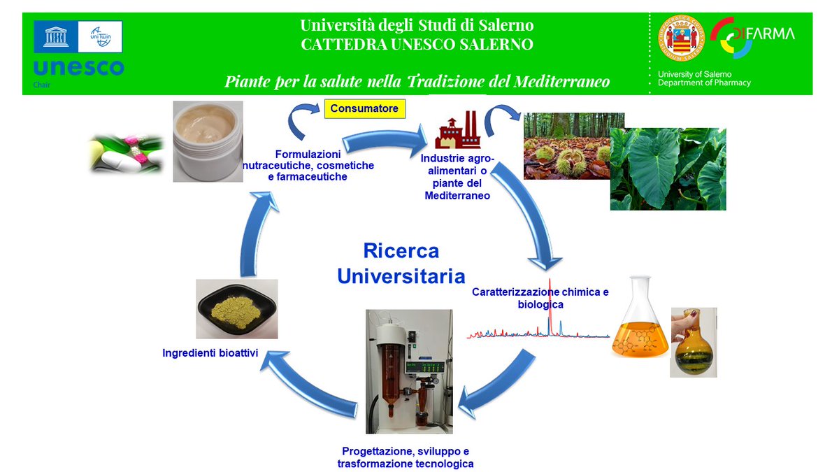 #PlantDayItalia: Le piante per la salute del Mediterraneo: biomasse vegetali di scarto e recupero di metaboliti secondari bioattivi. 18 maggio 2022 a Fisciano, Salerno #FascinationofPlantsDay #Italy #plantday #plantlovers #plant #epso #flower
  2022.plantday.it/?p=3886