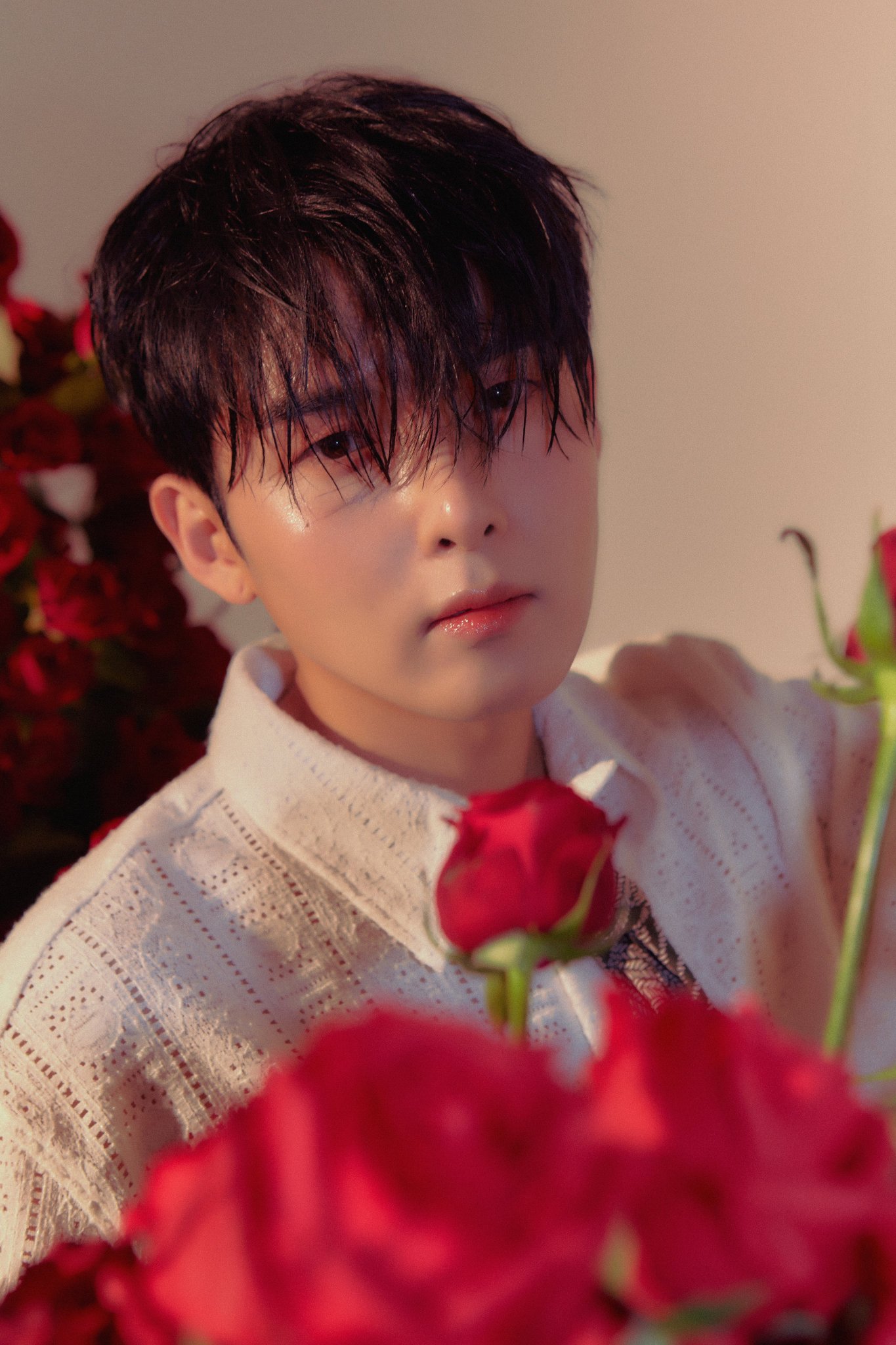 SUPER JUNIOR on X: "RYEOWOOK The 3rd Mini Album [A Wild Rose] Image Teaser  - Petal #1 🌹 2022.05.03. 6PM KST #슈퍼주니어 #SUPERJUNIOR #려욱 #RYEOWOOK  #A_Wild_Rose https://t.co/y5tIQVA5rp" / X