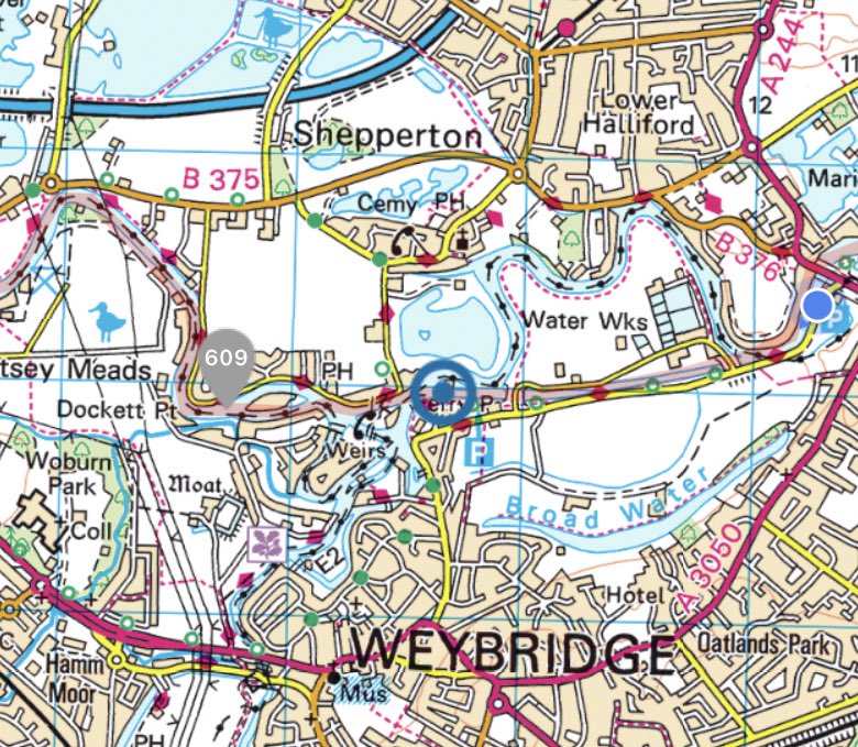 Peter Hale tweet media