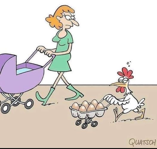 OFranquet's tweet photo. !Felices pascuas! 🐰🐓😆 https://t.co/Ic5A7A9mvl