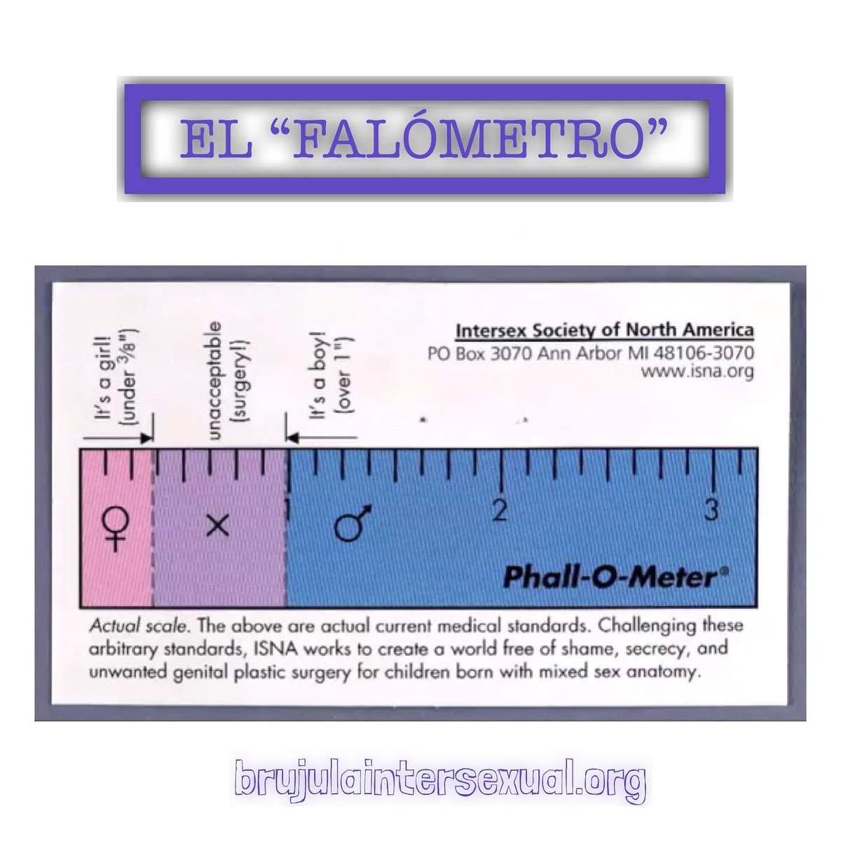 brujulaintersex's tweet photo. 1/3 El “Falómetro” es una herramienta crítica de los estándares médicos para el tamaño que “debe” tener el pene o el clítoris. La herramienta fue diseñada por la Intersex Society of North America.
#intersexualidad #intersex #intersexual https://t.co/WHxo9FakdA
