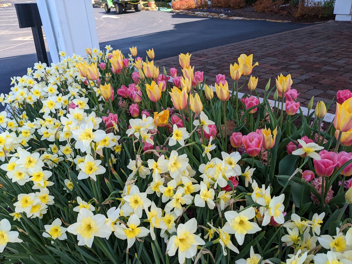TPCCHort's tweet photo. Happy Easter! https://t.co/x60qyaAiui