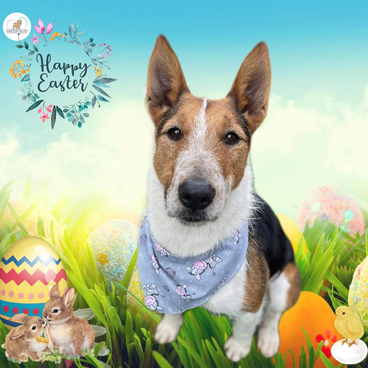 Wishing all a very Happy and peaceful Easter #HappyEaster #EasterWeekend #Easter2022