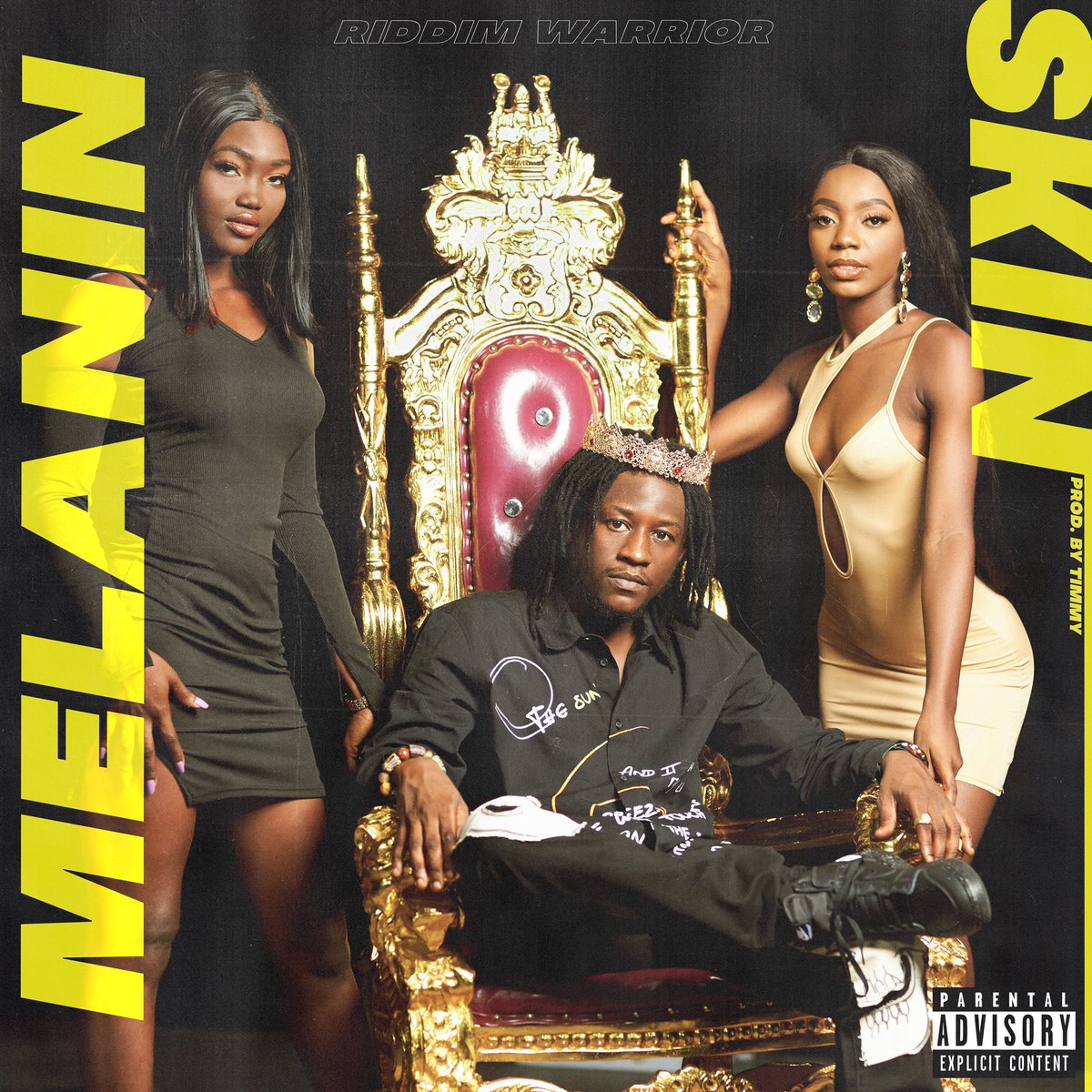 RiddimWarrior's tweet photo. Another One, Banger Alert 🚨🚨🎬#MelaninSkin dropping this dope one in a few hrs, stay tuned and LockedDown! 🎼📣🚦#Dontstopentertainment https://t.co/8uxNgsgnL8