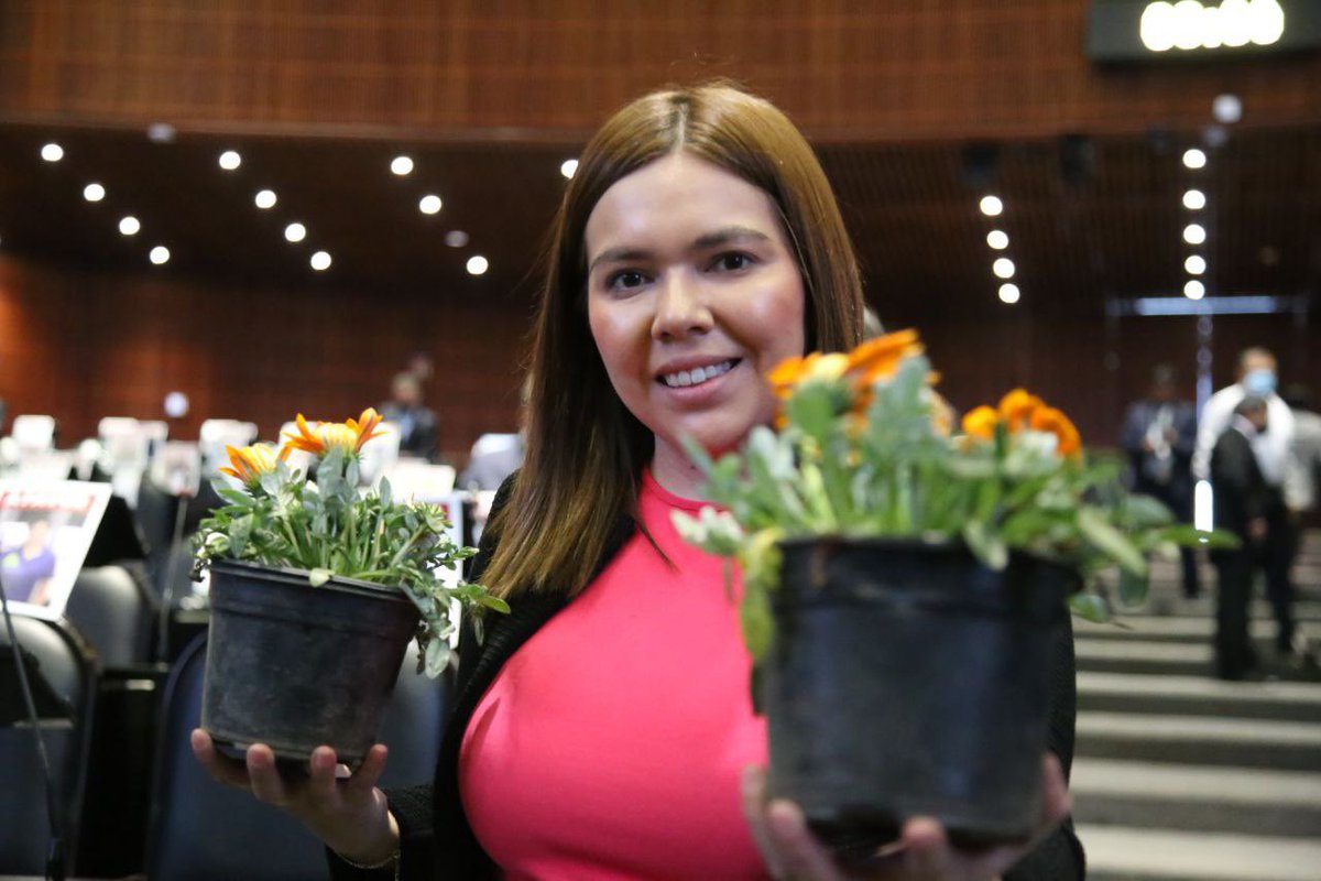 IrisayRodriguez's tweet photo. Frente al odio y las agresiones, flores, vida y esperanza. Hoy será un buen día. #NoALaReformaEléctrica https://t.co/fRl1moX319