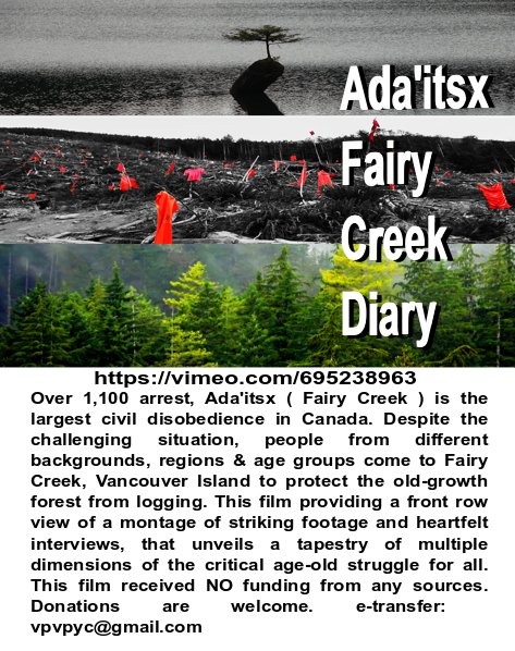 Ada'itsx Fairy Creek Diary
video link:
vimeo.com/695238963

Donation e-tansfer:
vpvpyc@gmail.com