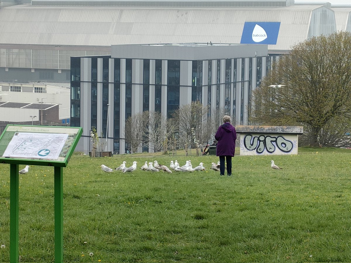 Steve Grant tweet media