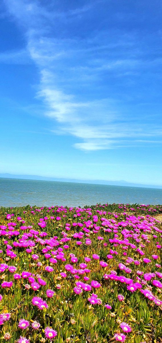 coastpac2's tweet image. #nature #naturebeauty #sea #mountain #sky #cloud #Colors #photo #photography