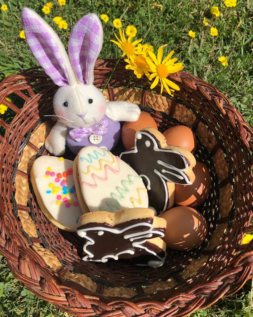 Felices Pascuas!!!🐇